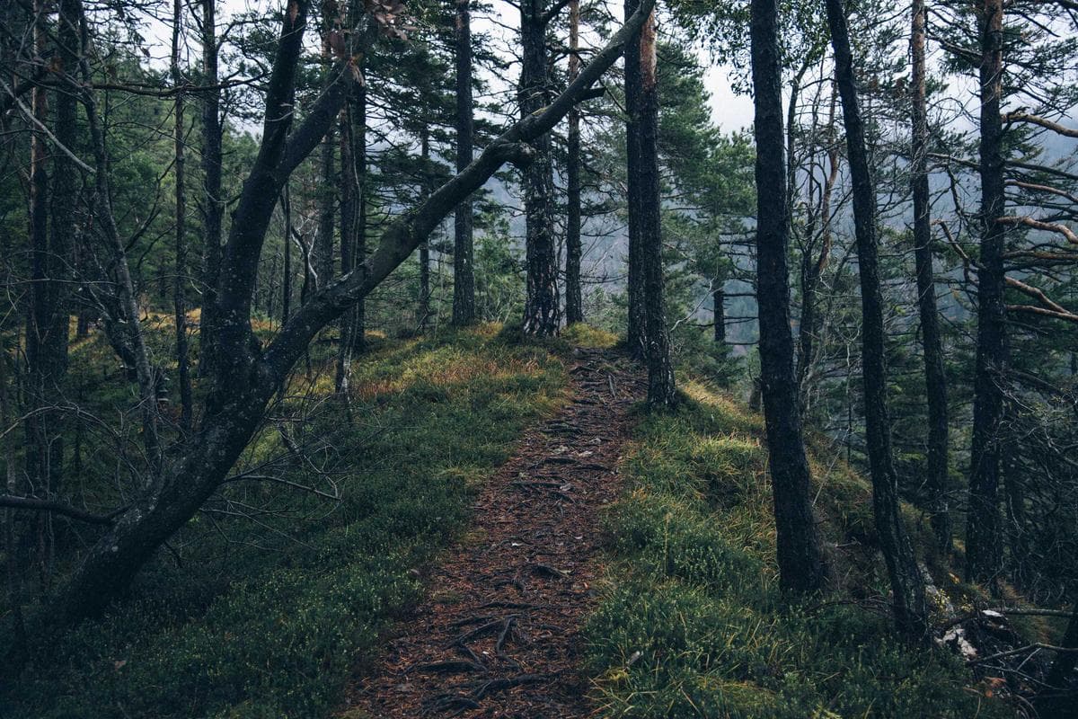 Contemporary 2BR Villa in Buaran